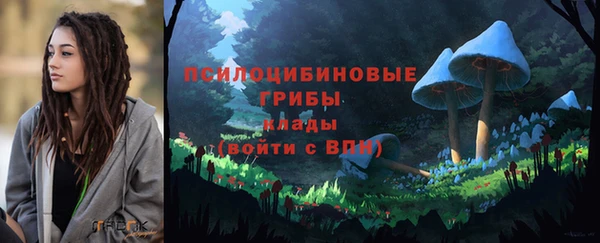 спиды Медвежьегорск