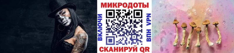 сколько стоит  Каменск-Уральский  Псилоцибиновые грибы MAGIC MUSHROOMS 