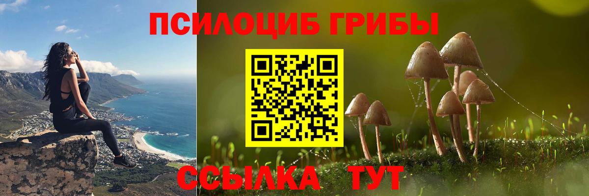 Галлюциногенные грибы MAGIC MUSHROOMS Каменск-Уральский