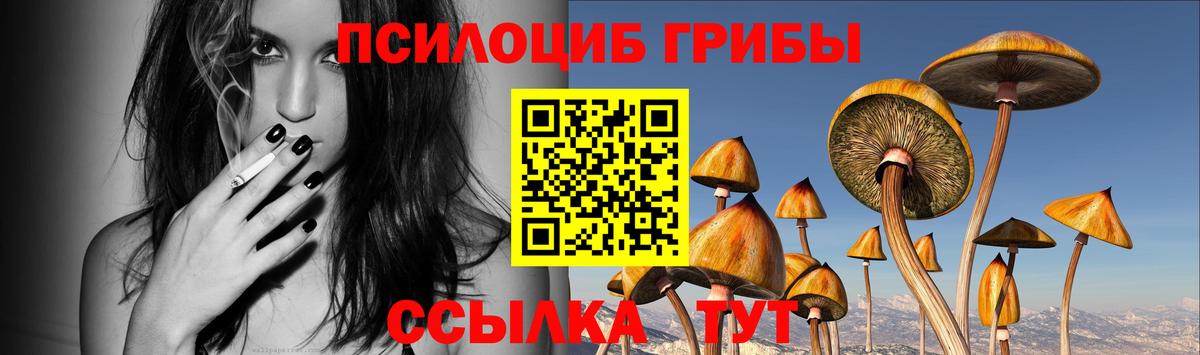 Каменск-Уральский  Псилоцибиновые грибы GOLDEN TEACHER  Вход с VPN 